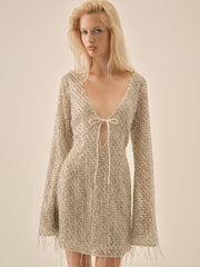 Women Twinkle Sequin Mini Dress - Silver