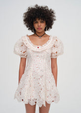 Women Aphrodite Embroidered Mini Dress - White
