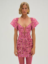 Women Blurred Roses Mini Dress - Pink