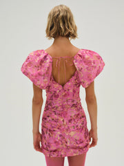 Women Blurred Roses Mini Dress - Pink