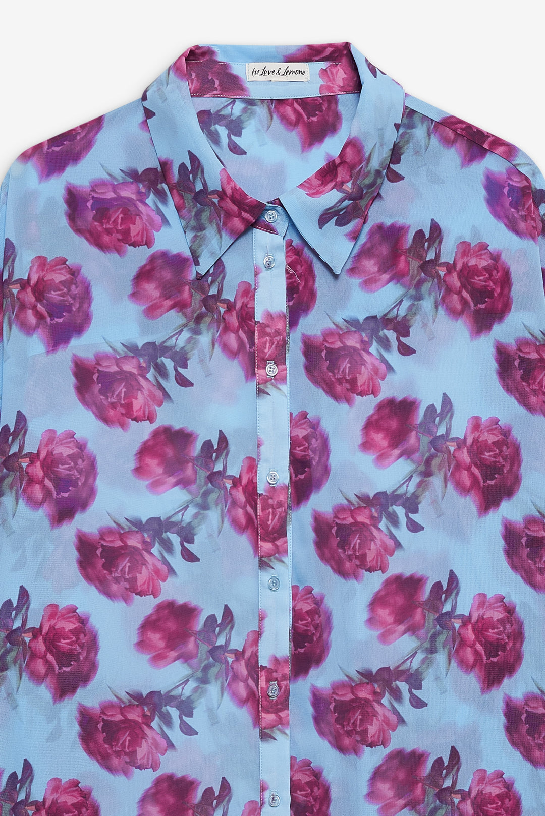 Women Floral Stems Button-Down Top - Blue