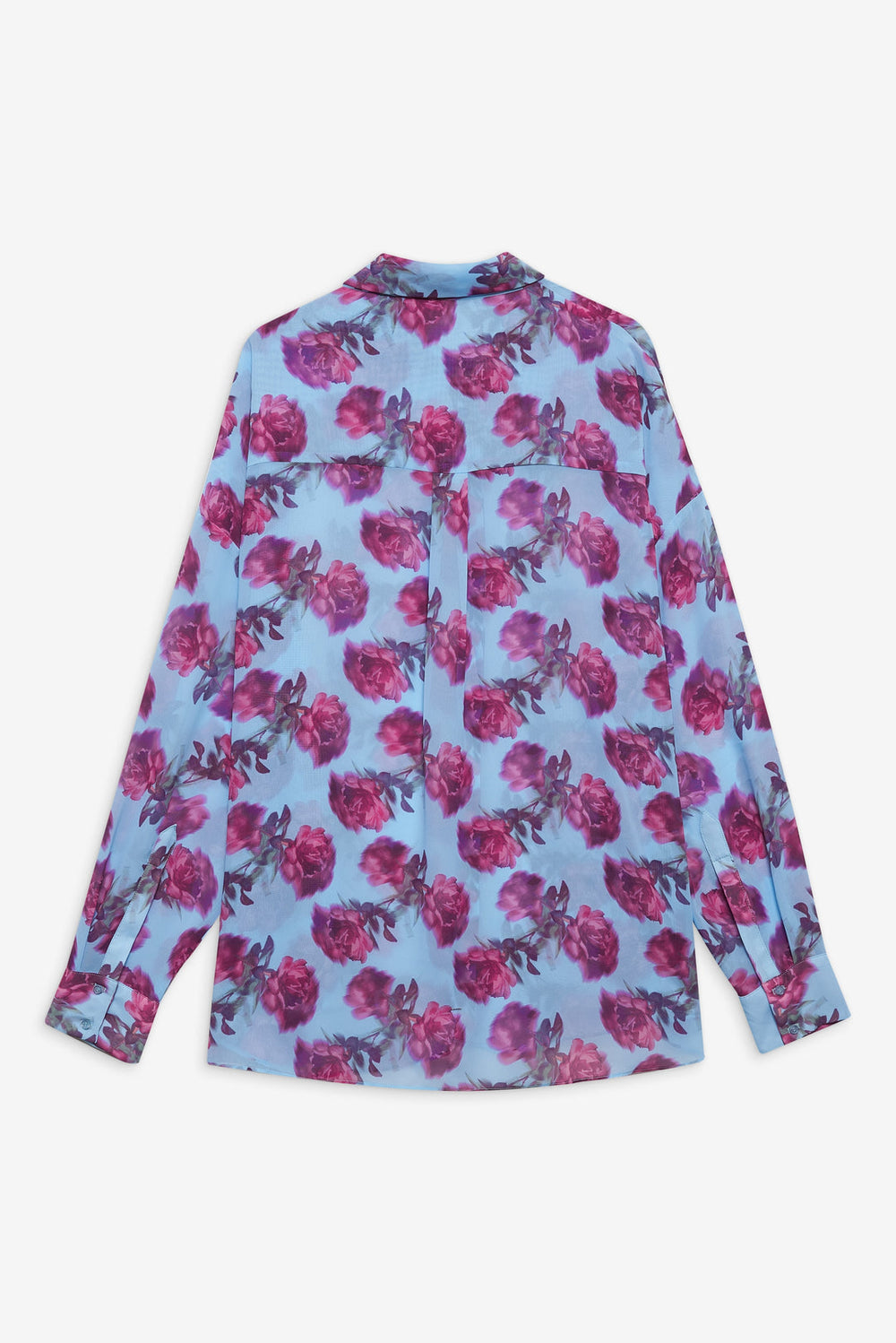 Women Floral Stems Button-Down Top - Blue