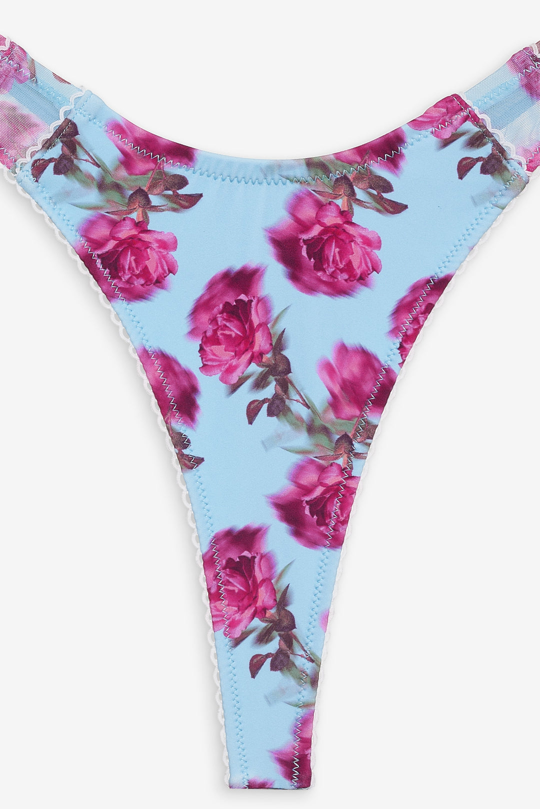 Women Floral Stems Bikini Bottom - Blue