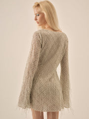 Women Twinkle Sequin Mini Dress - Silver