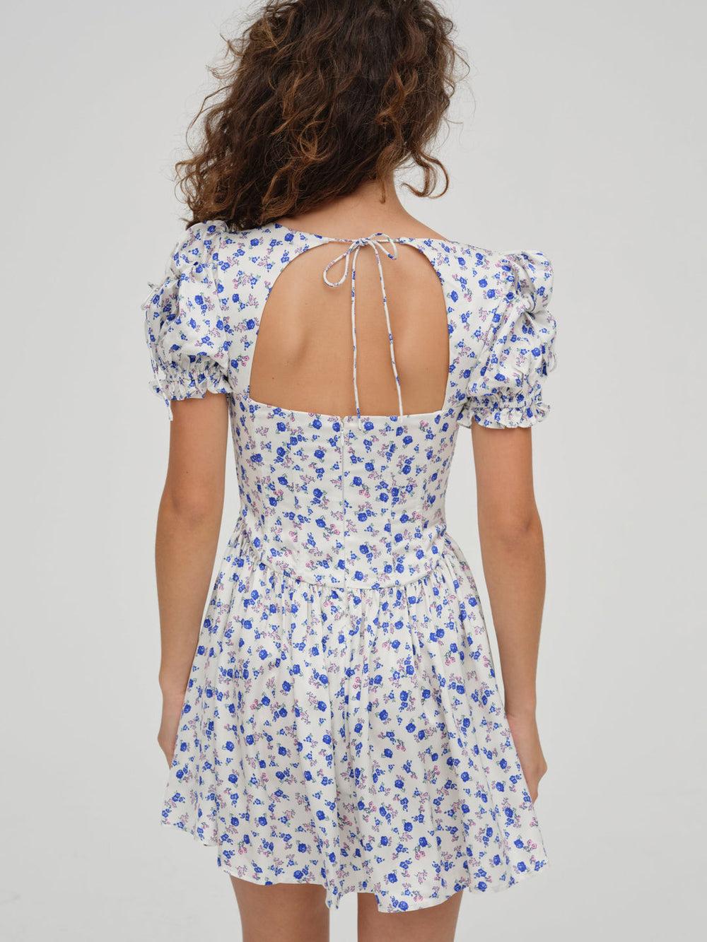 Women Paulina Puff Sleeve Dress - Blue