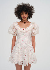 Women Aphrodite Embroidered Mini Dress - White