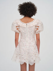 Women Aphrodite Embroidered Mini Dress - White