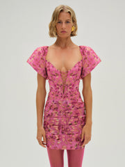 Women Blurred Roses Mini Dress - Pink